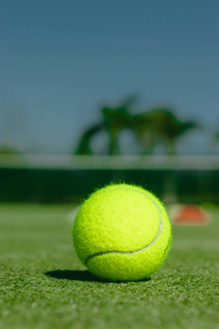 ATP 250 Mallorca Championships