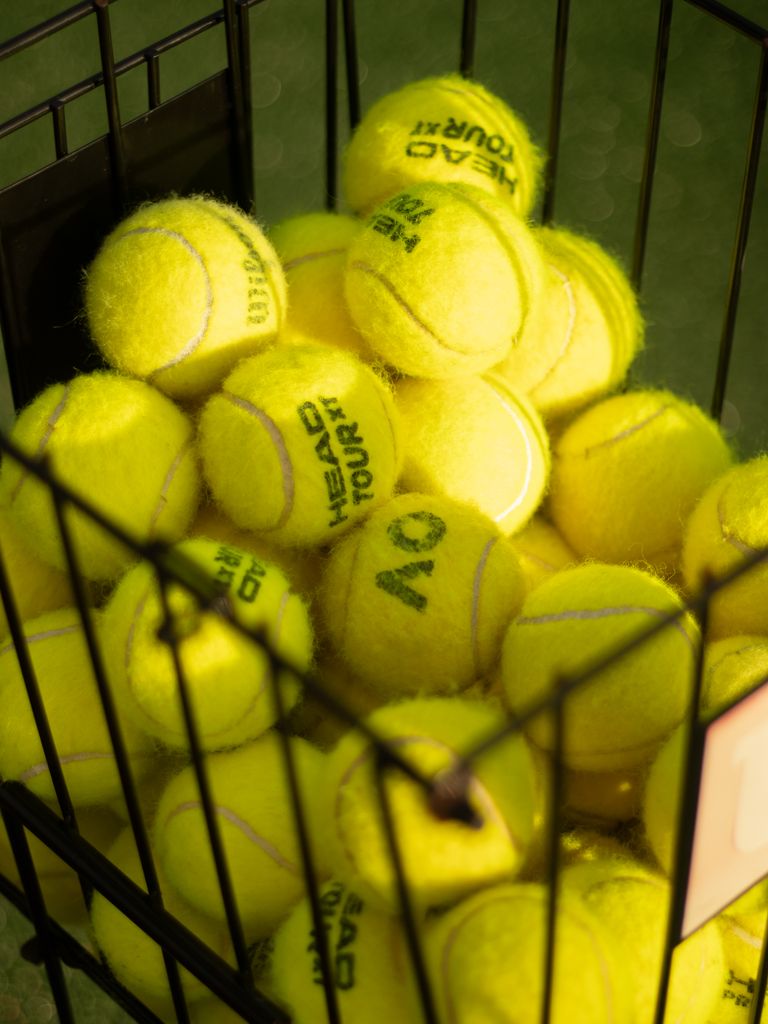 Bright yellow tennis balls stacked in a wire container, perfect for sports themes.